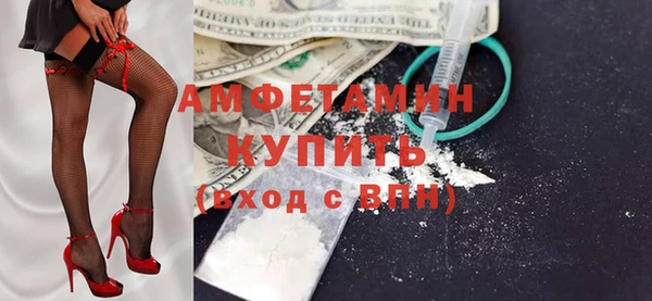 прущие грибы Приозерск