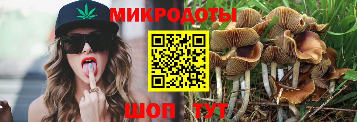 Галлюциногенные грибы прущие грибы Кстово