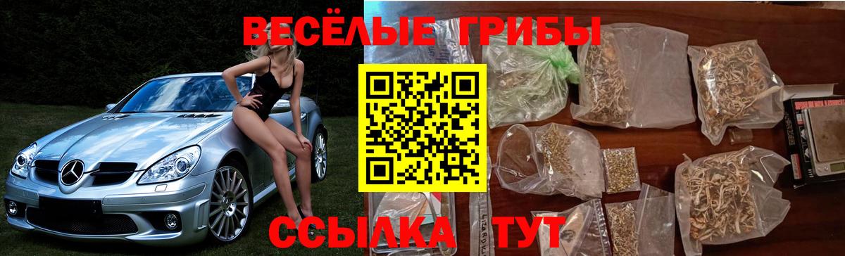 Псилоцибиновые грибы MAGIC MUSHROOMS Кстово